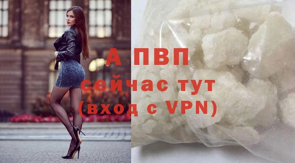 стафф Магас