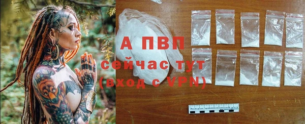 СК Мегион