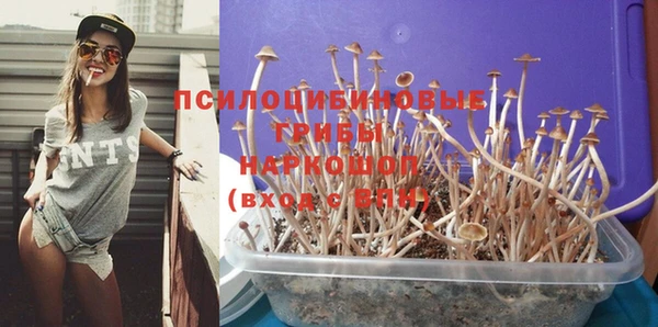 гидра Медногорск