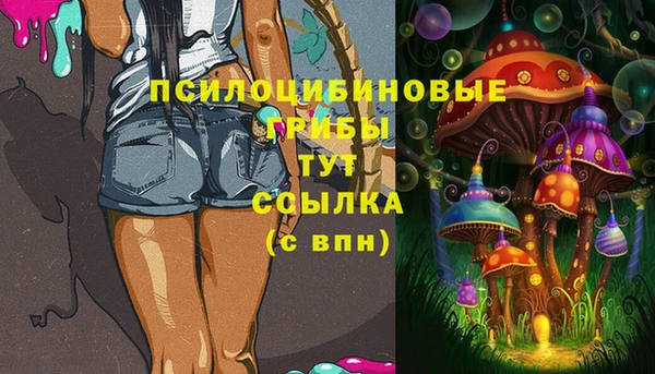 стафф Магас