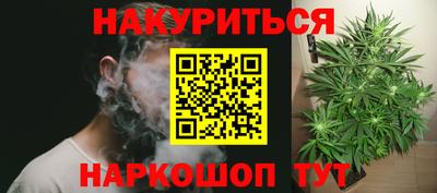 прущие грибы Пенза