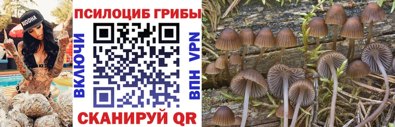 это телеграм  Набережные Челны  Галлюциногенные грибы мицелий 